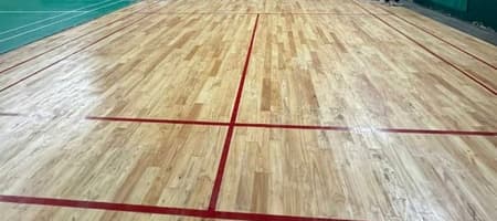 Dev Sport Badminton Academy