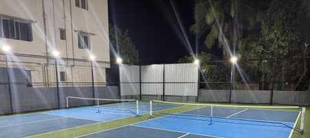 Dill - Lightful Dinks