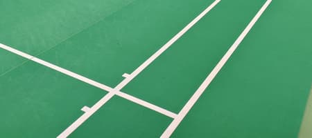 DJ's Badminton Academy