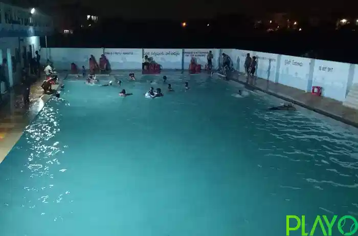 Dolphin Swimming Pool1 image
