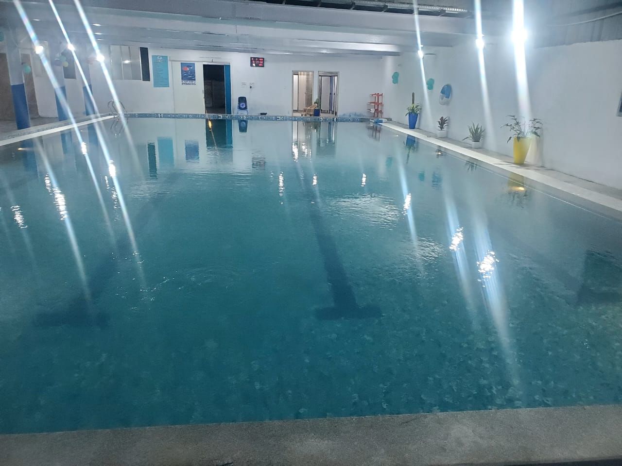 Dolphin Swimming Pool