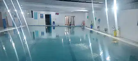 Dolphin Swimming Pool