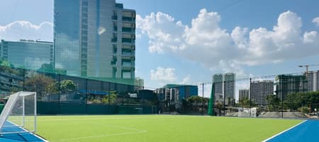 DPES Sportagon Turf