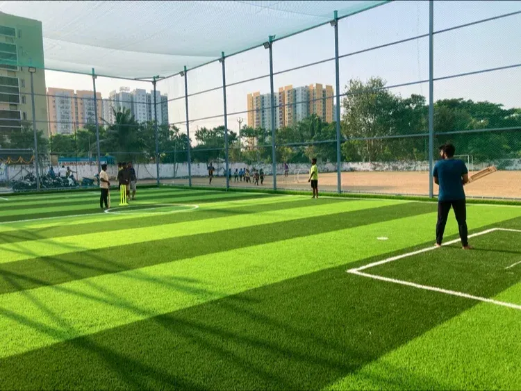 Dream Turf
