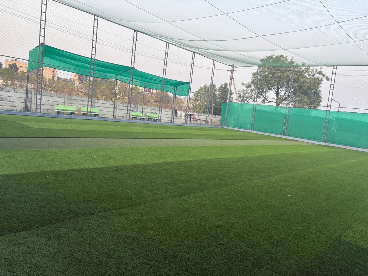Turf photo 9