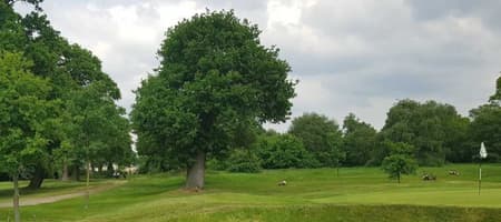 Dyrham Park Country Club