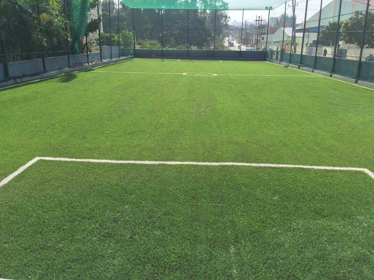 Turf photo 9