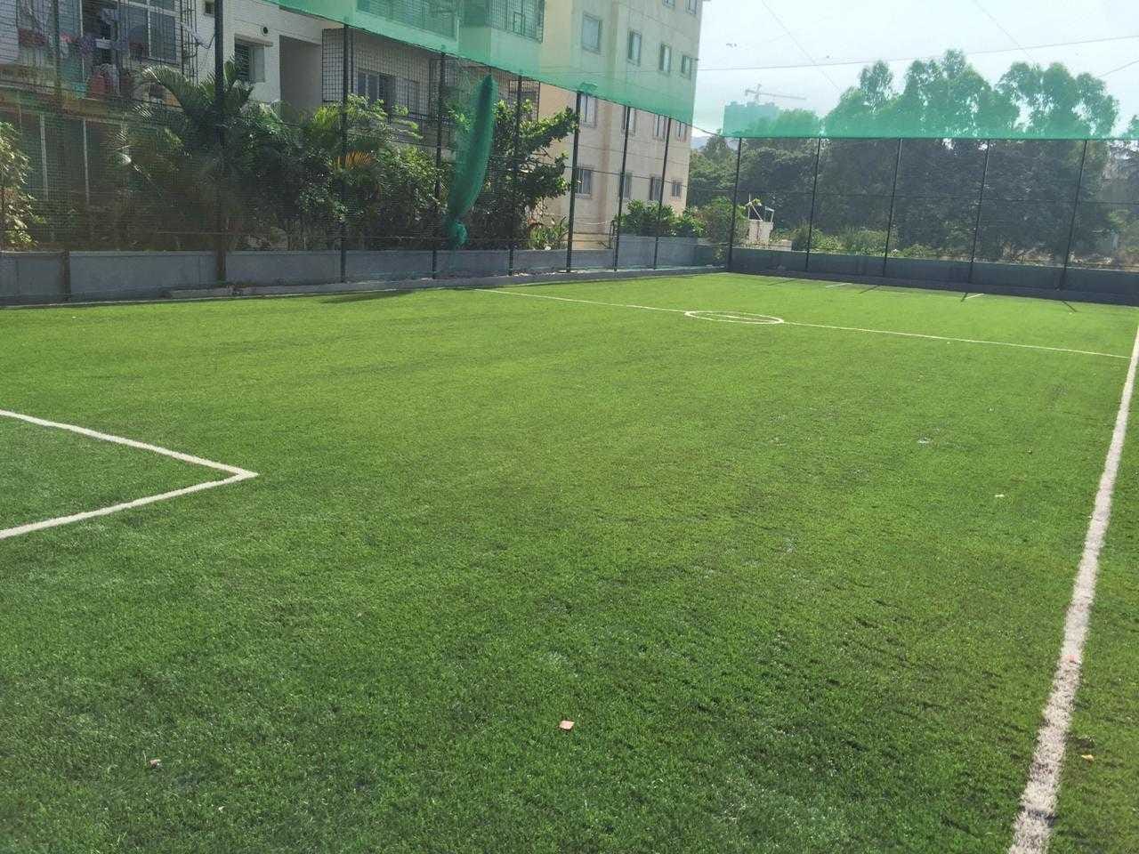 Turf photo 7