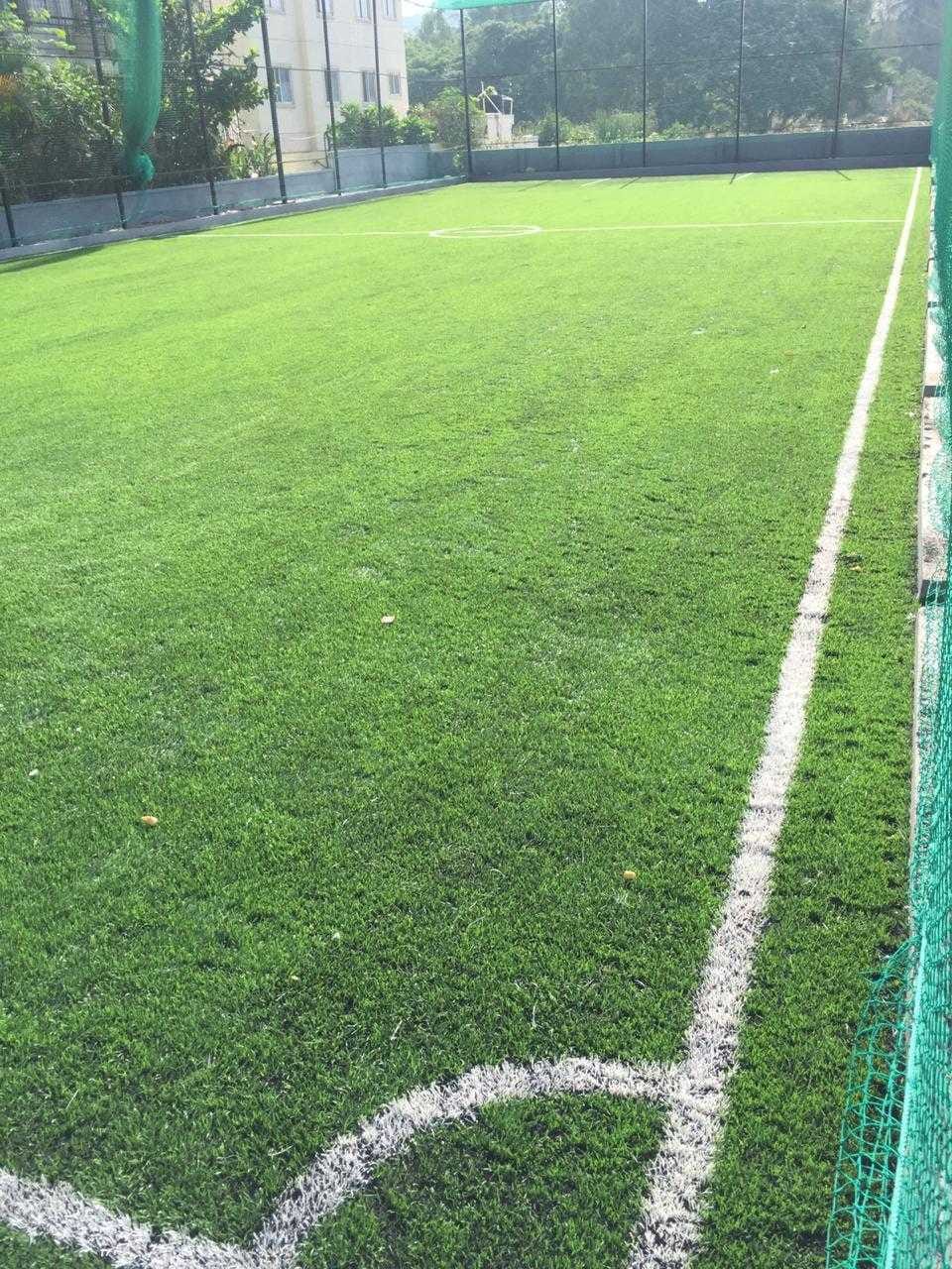 Turf photo 10