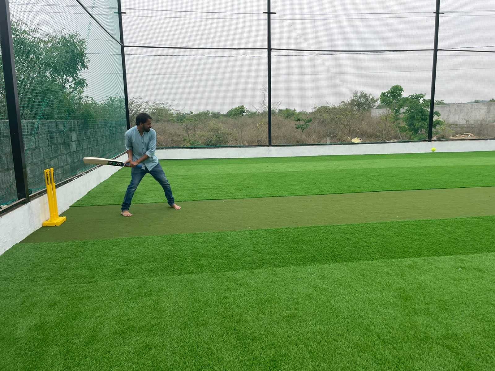 Turf photo 9