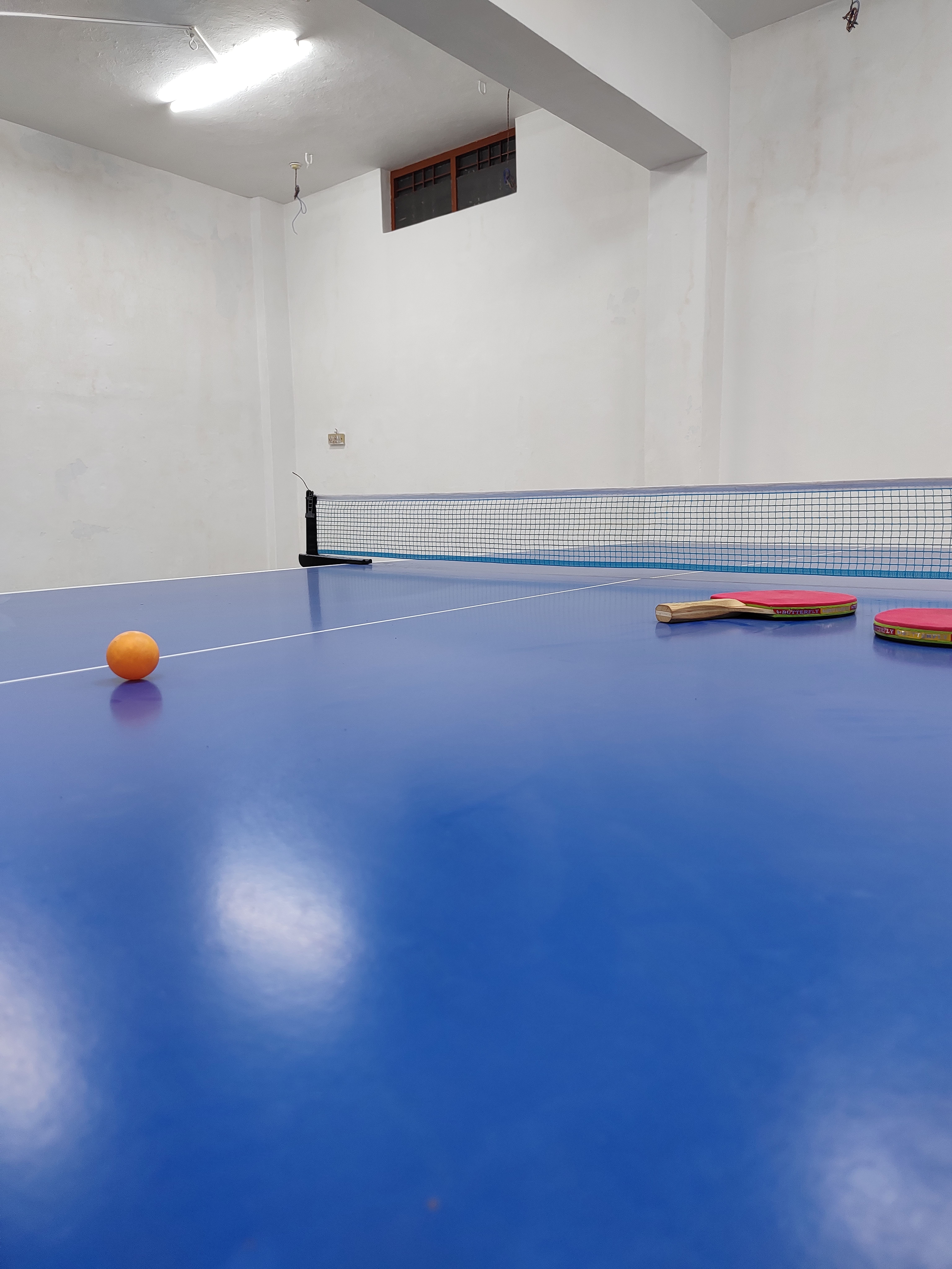 Elite Ping Pong Club