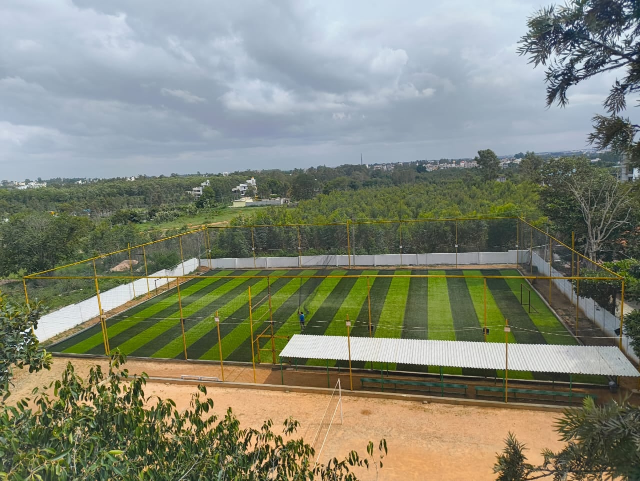 Turf photo 5