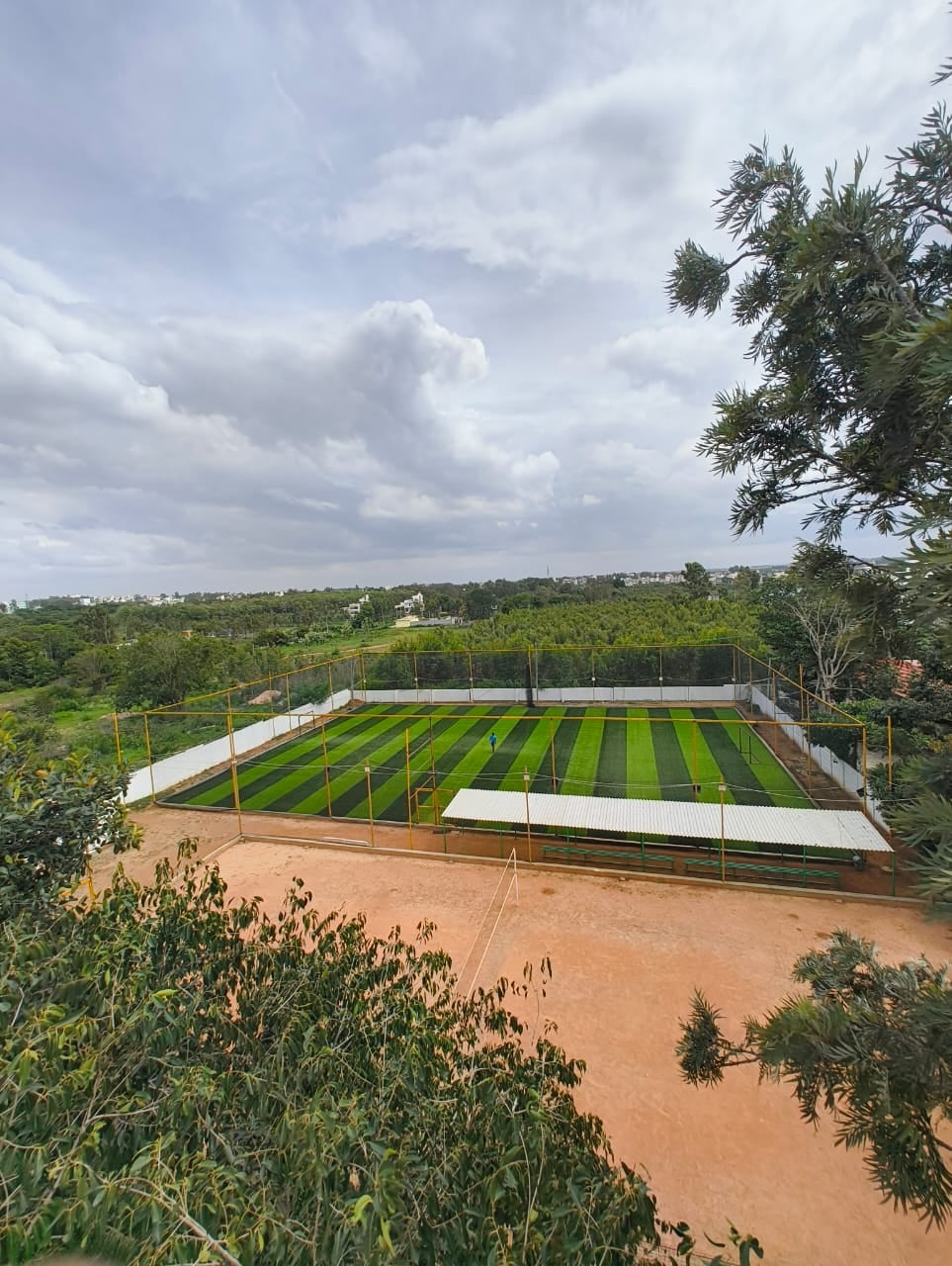 Turf photo 6