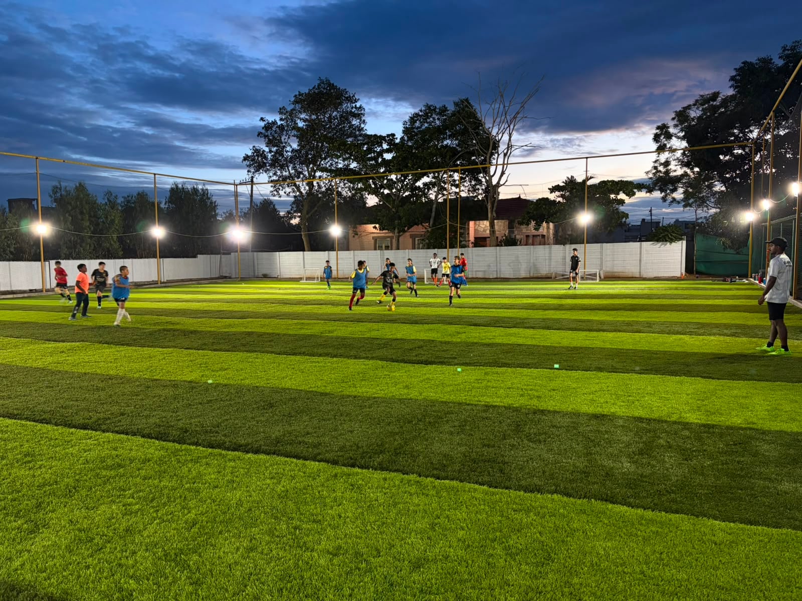 Turf photo 7