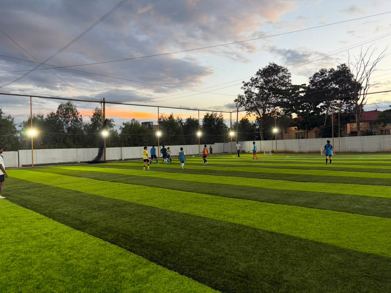 Turf photo 8