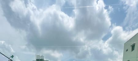 Empire Lions - The Cricket & Football Turf