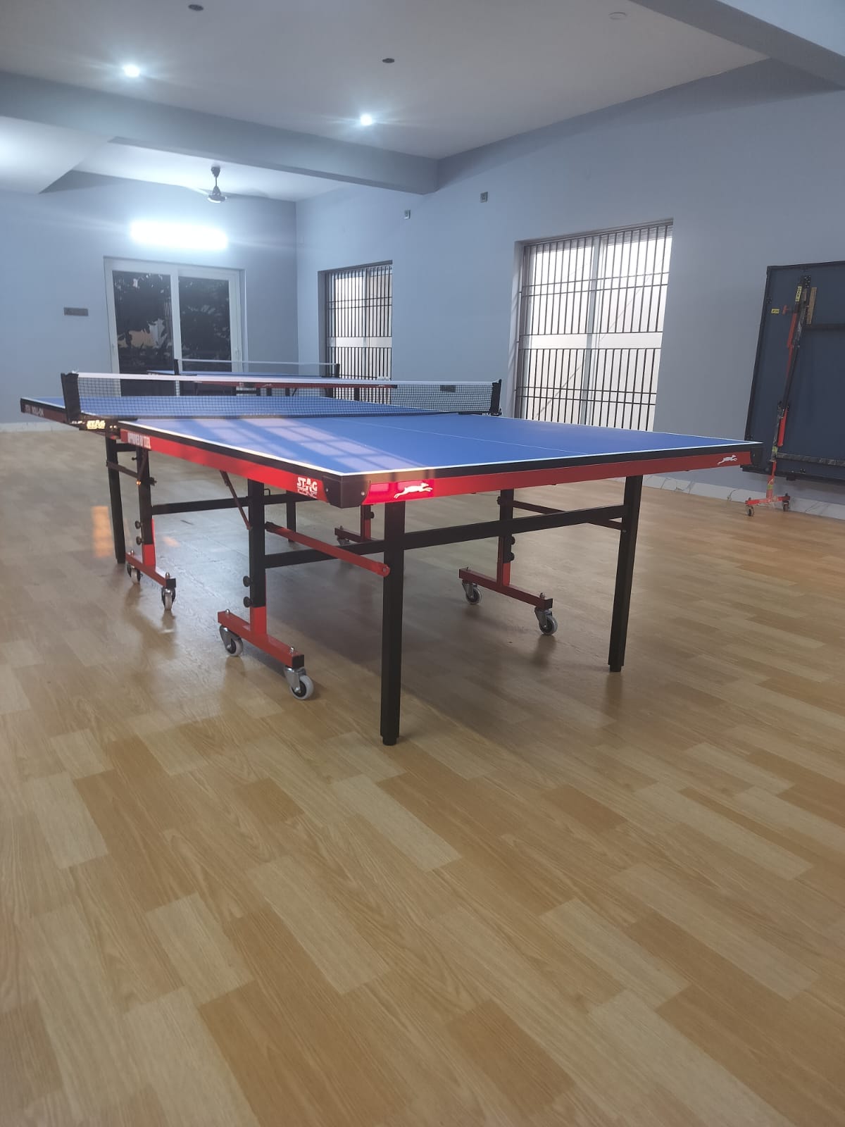 Energize Table Tennis Club