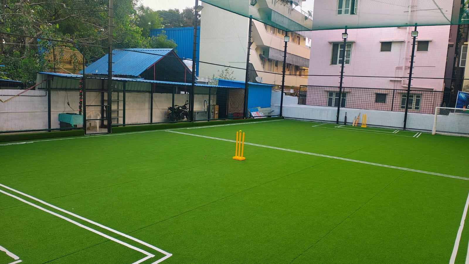 Turf photo 4