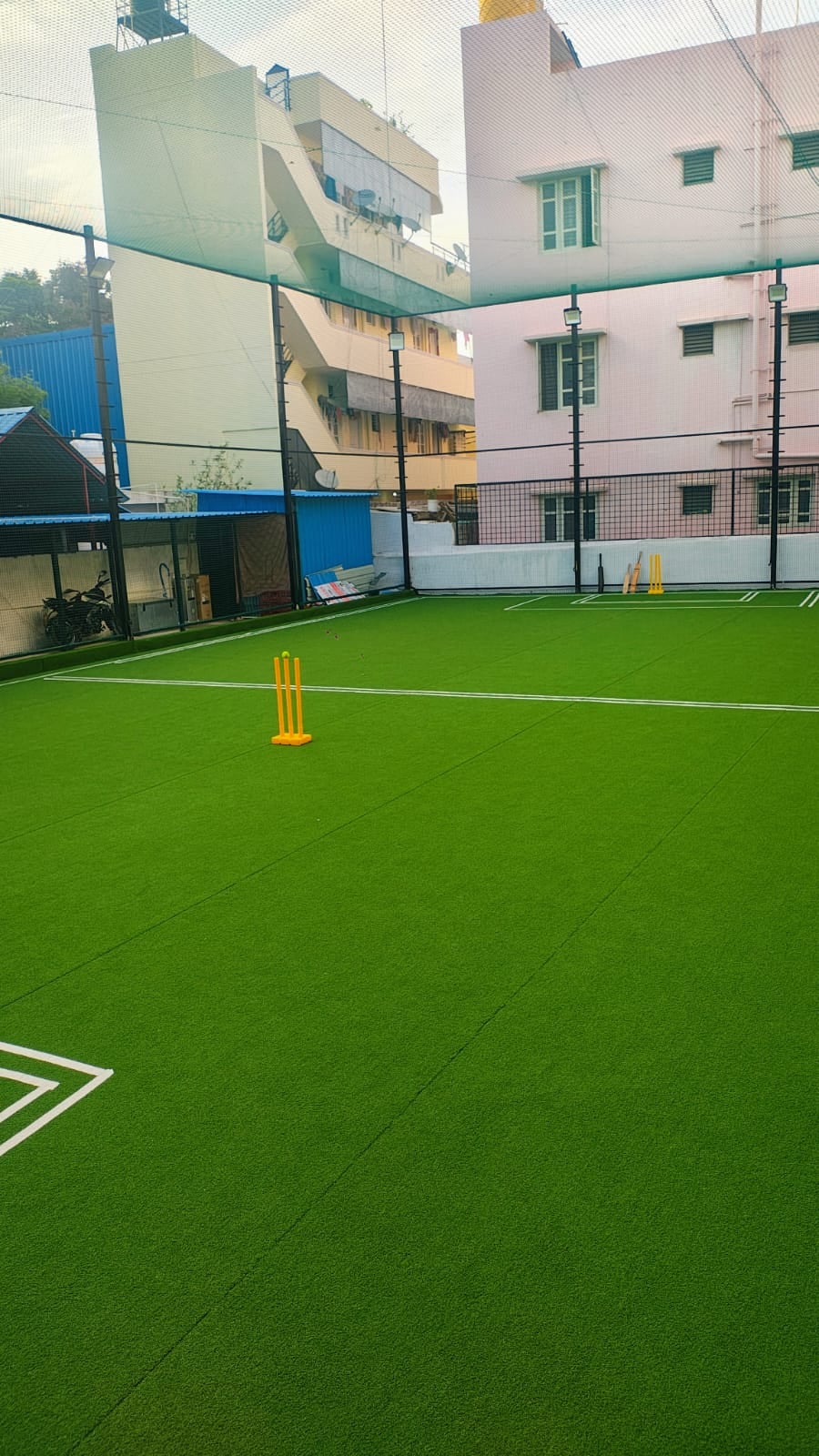 Turf photo 5