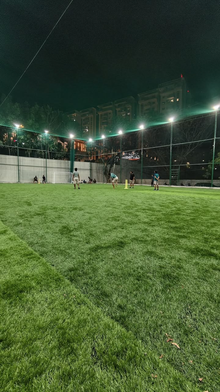 Turf photo 6