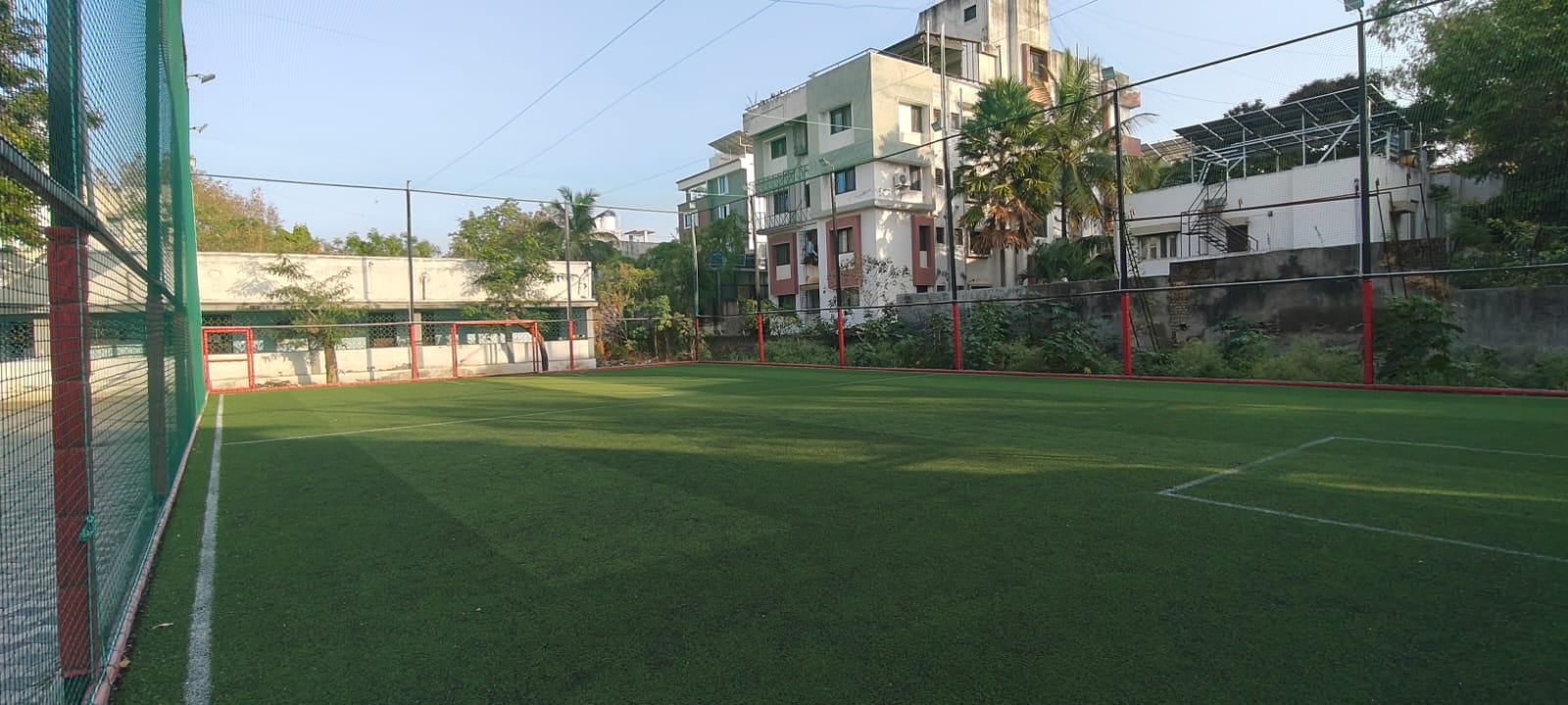 Turf photo 6