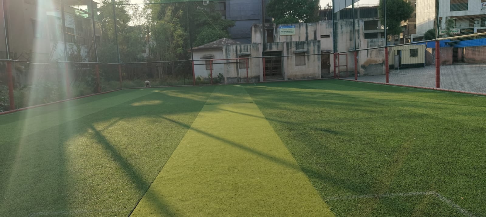 Turf photo 7