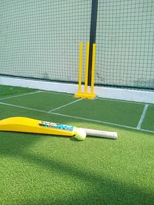 Fantasy Box cricket