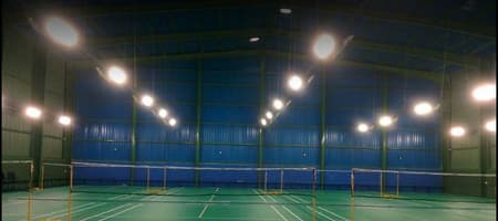 Feathers Smash Arena