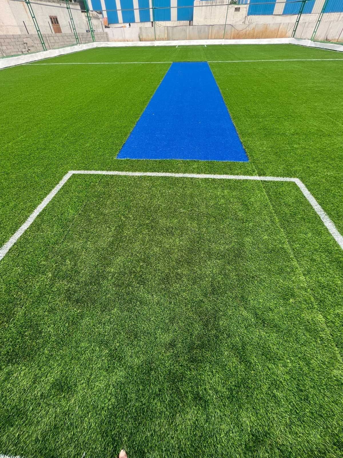 Flamingo Box -Cricket