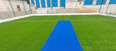 Flamingo Box -Cricket