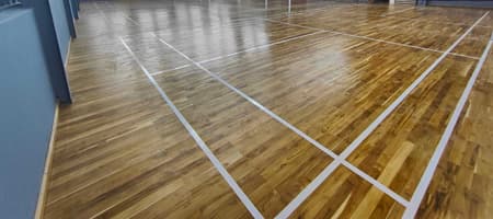 Flying Feathers Elite Badminton Academy