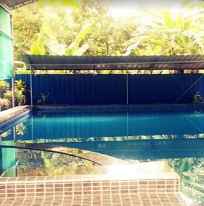 FM Swim School
