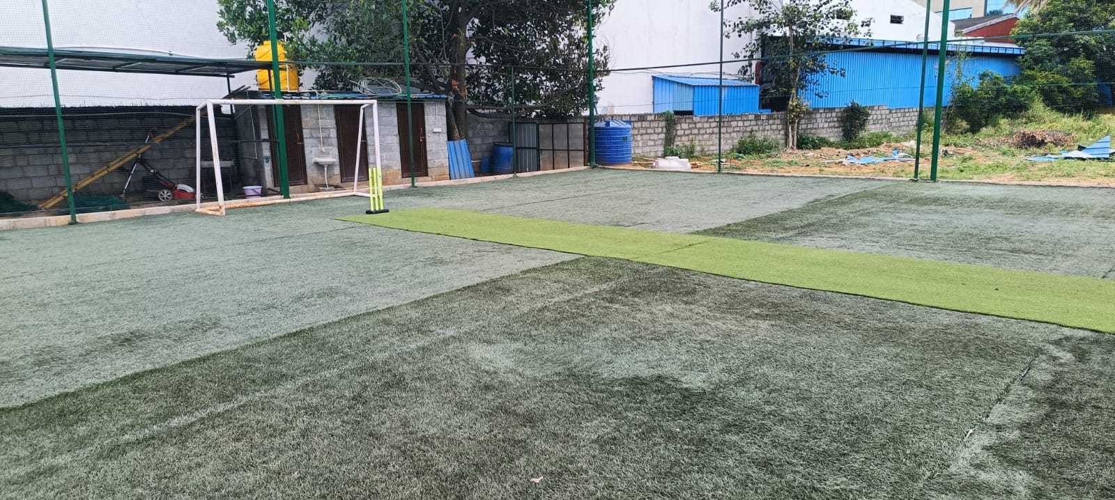 Turf photo 5