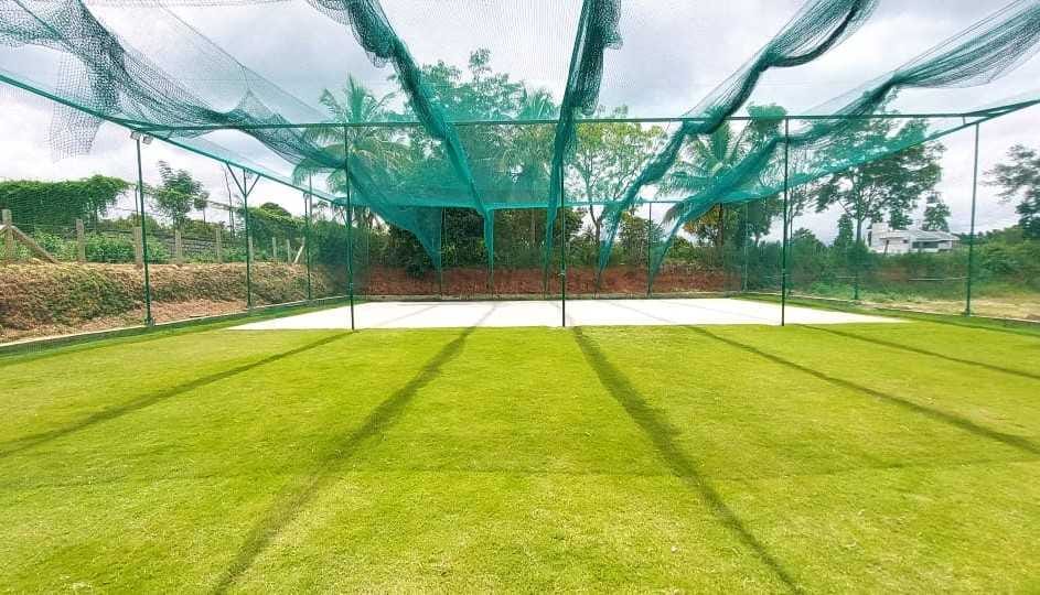 Turf photo 8