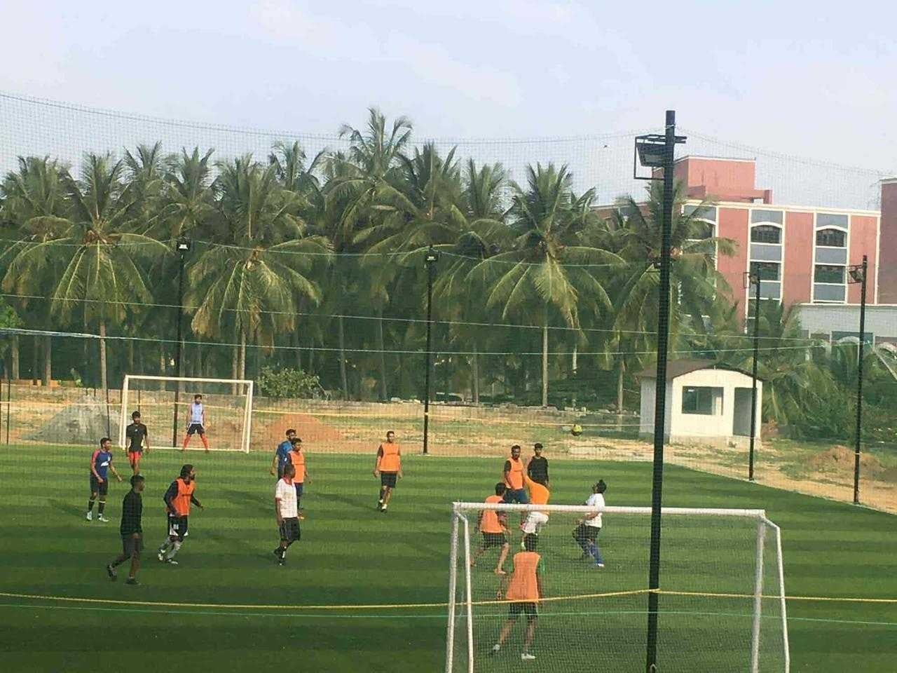 Turf photo 6
