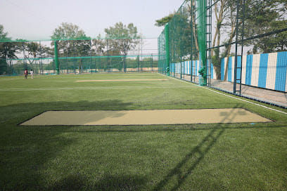Force Playing Fields