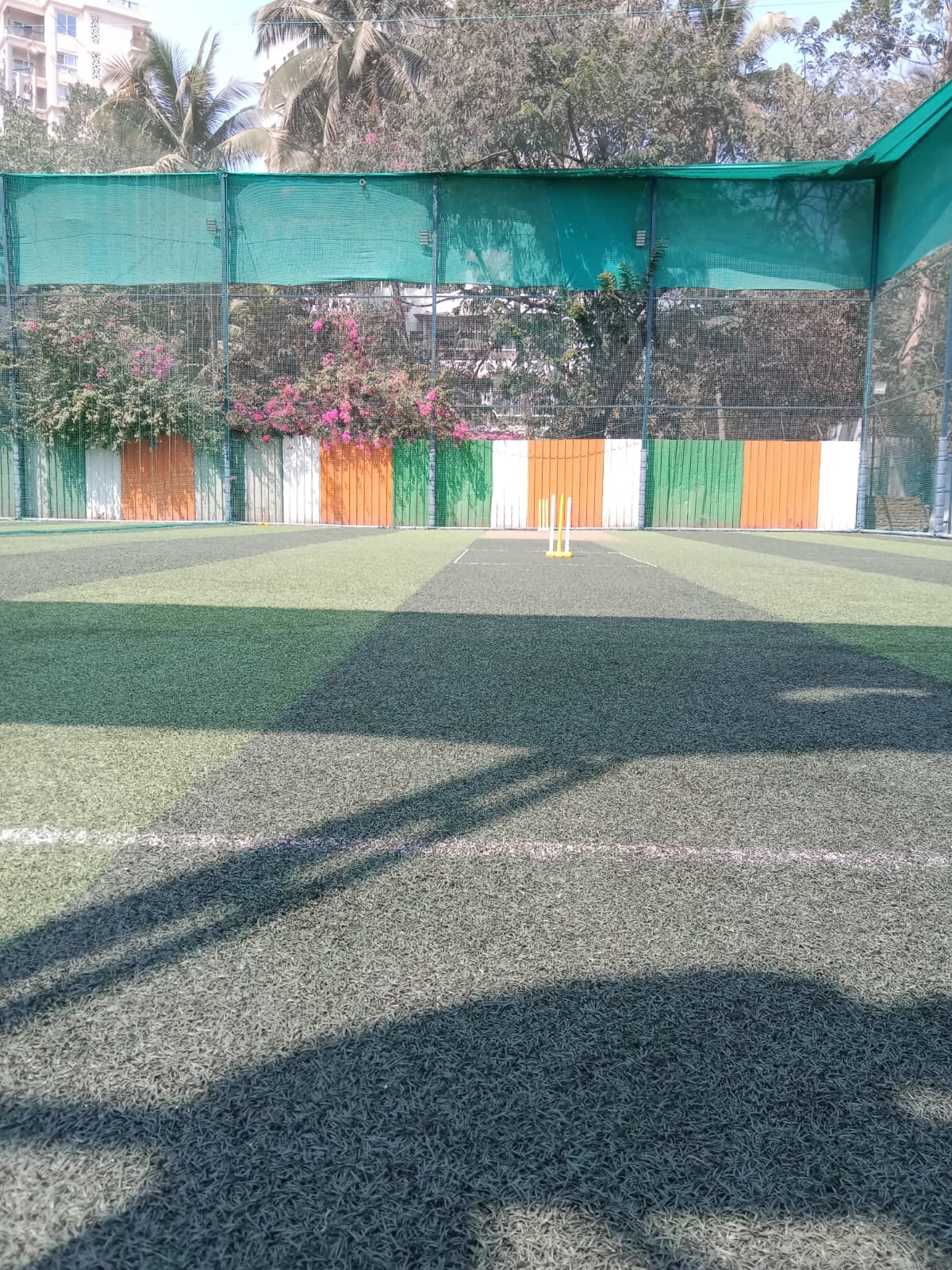 Turf photo 4