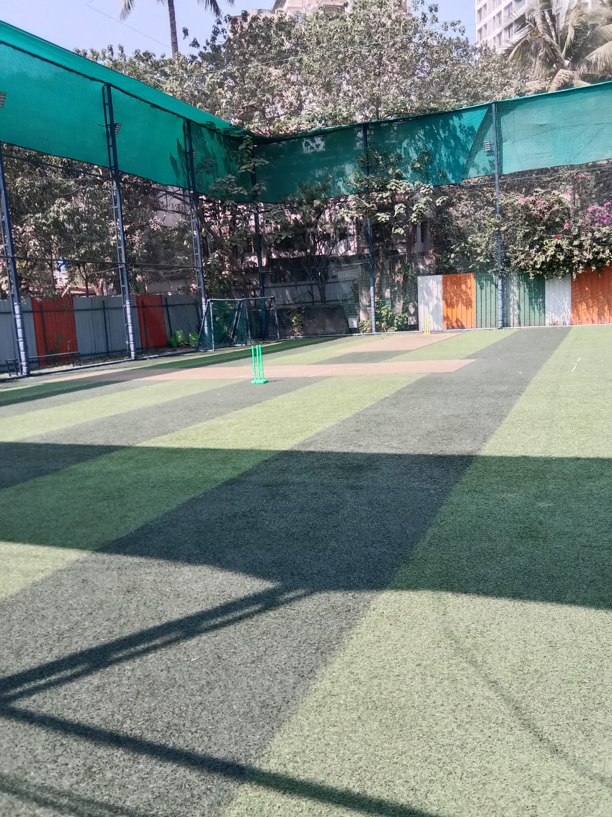Turf photo 5