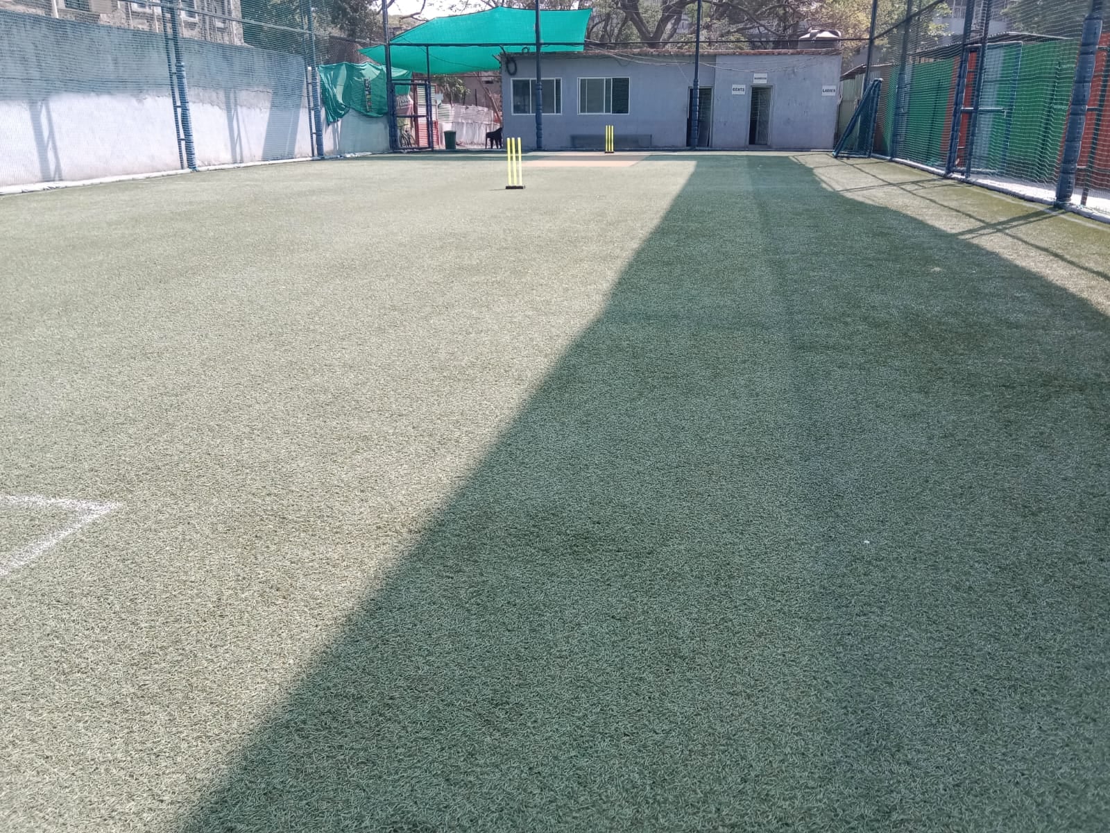 Turf photo 6