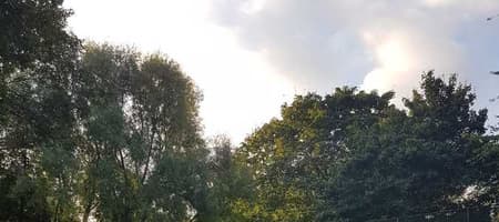 Fred Wells Gardens