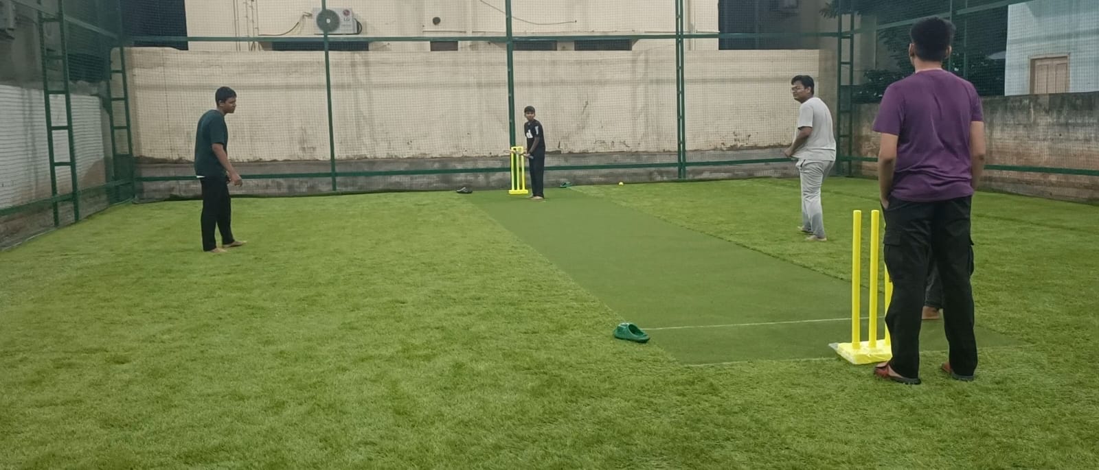 Free Hit Box cricket