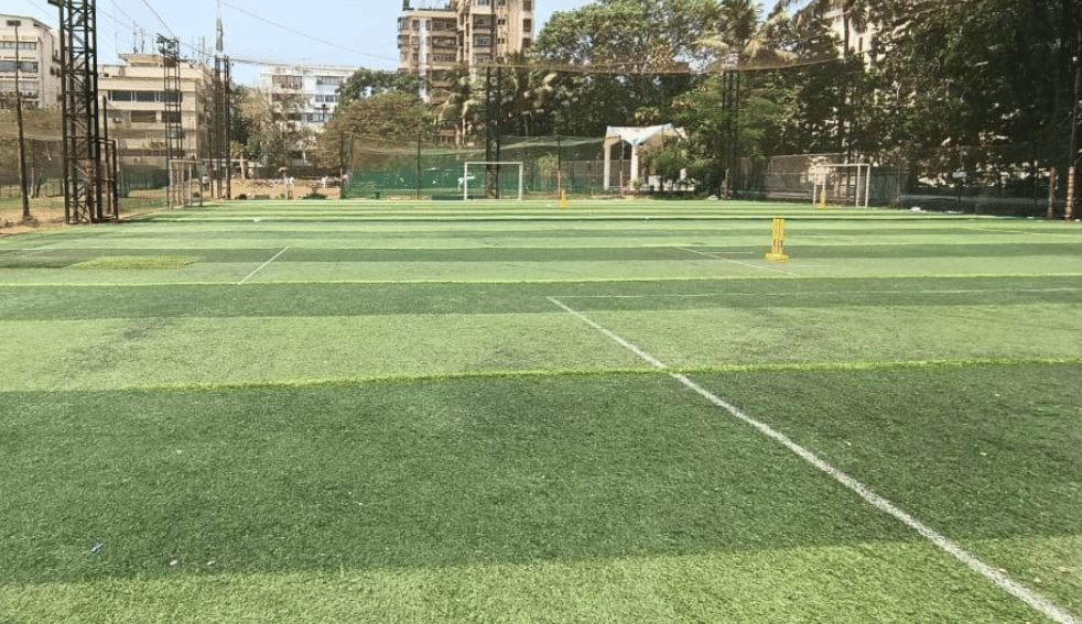 FS Turf