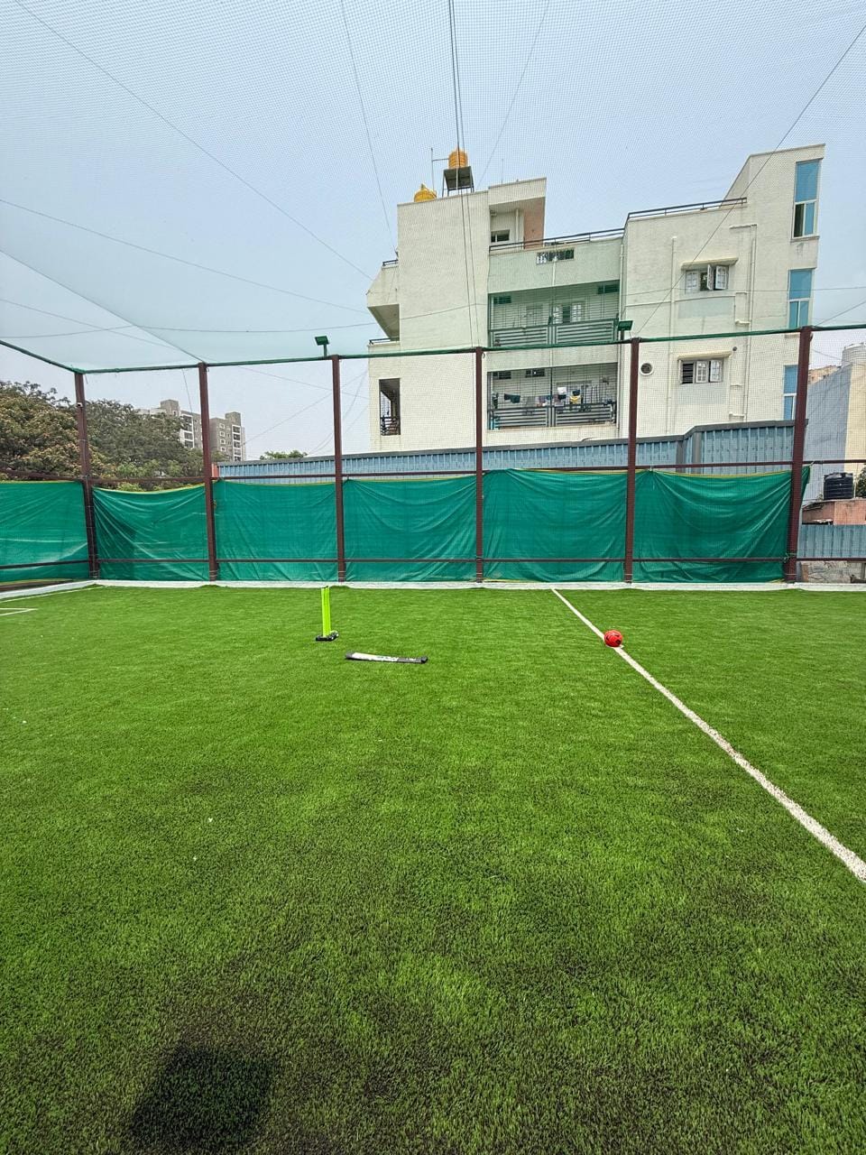 Turf photo 3