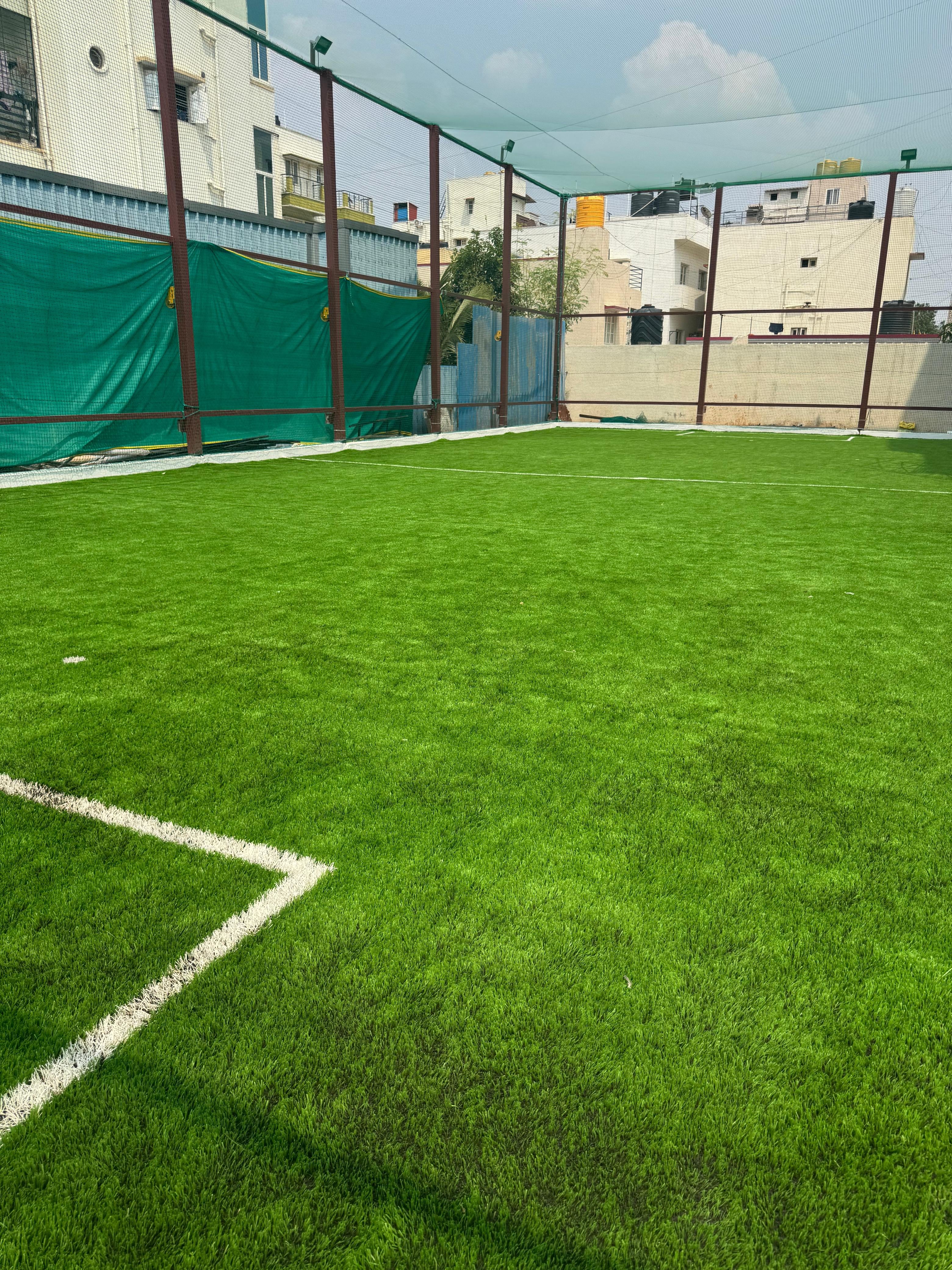 Turf photo 4