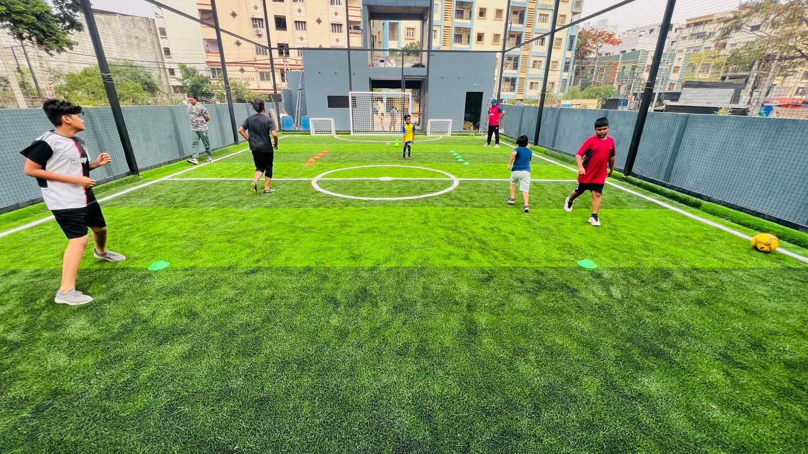 Turf photo 4