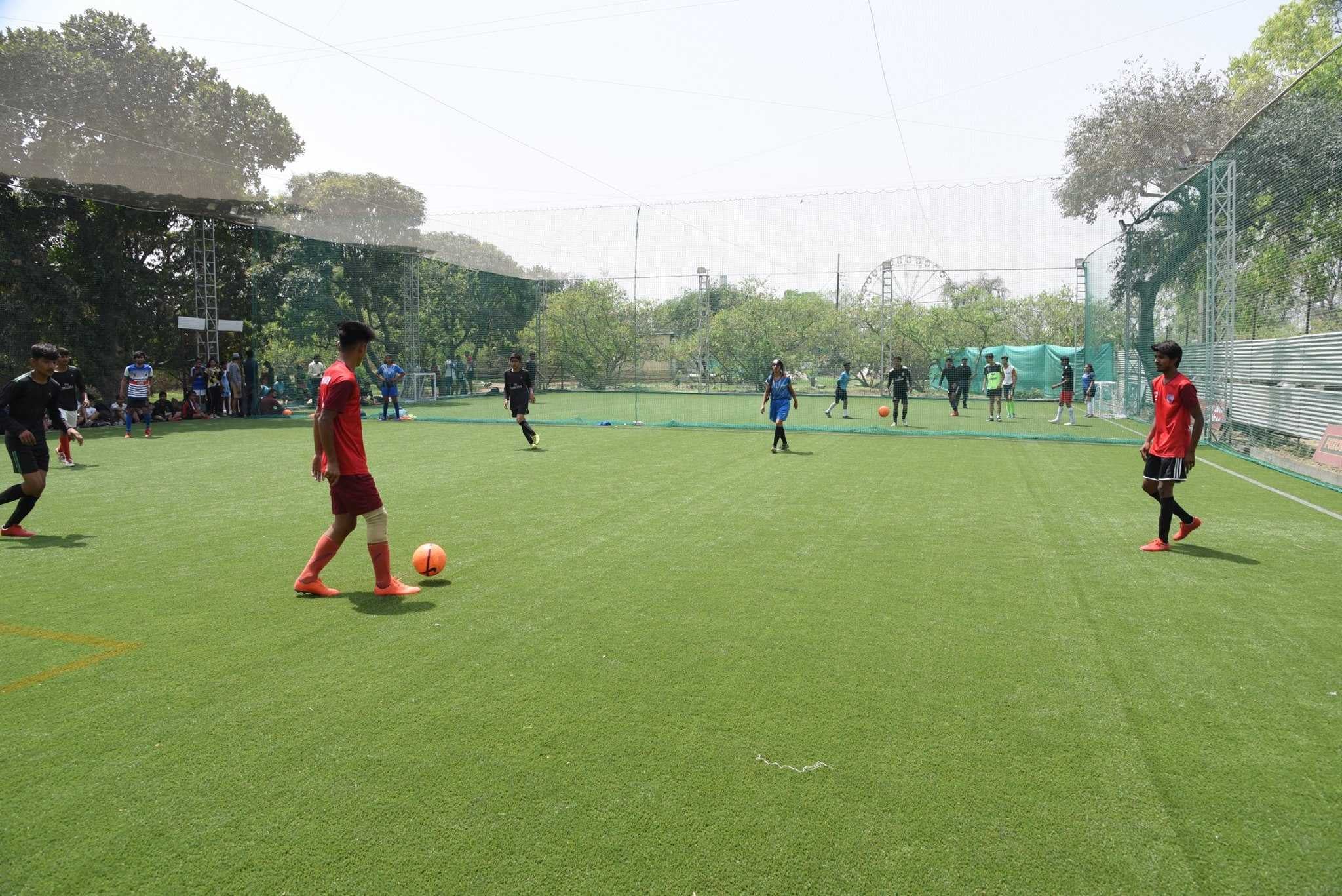 Turf photo 5