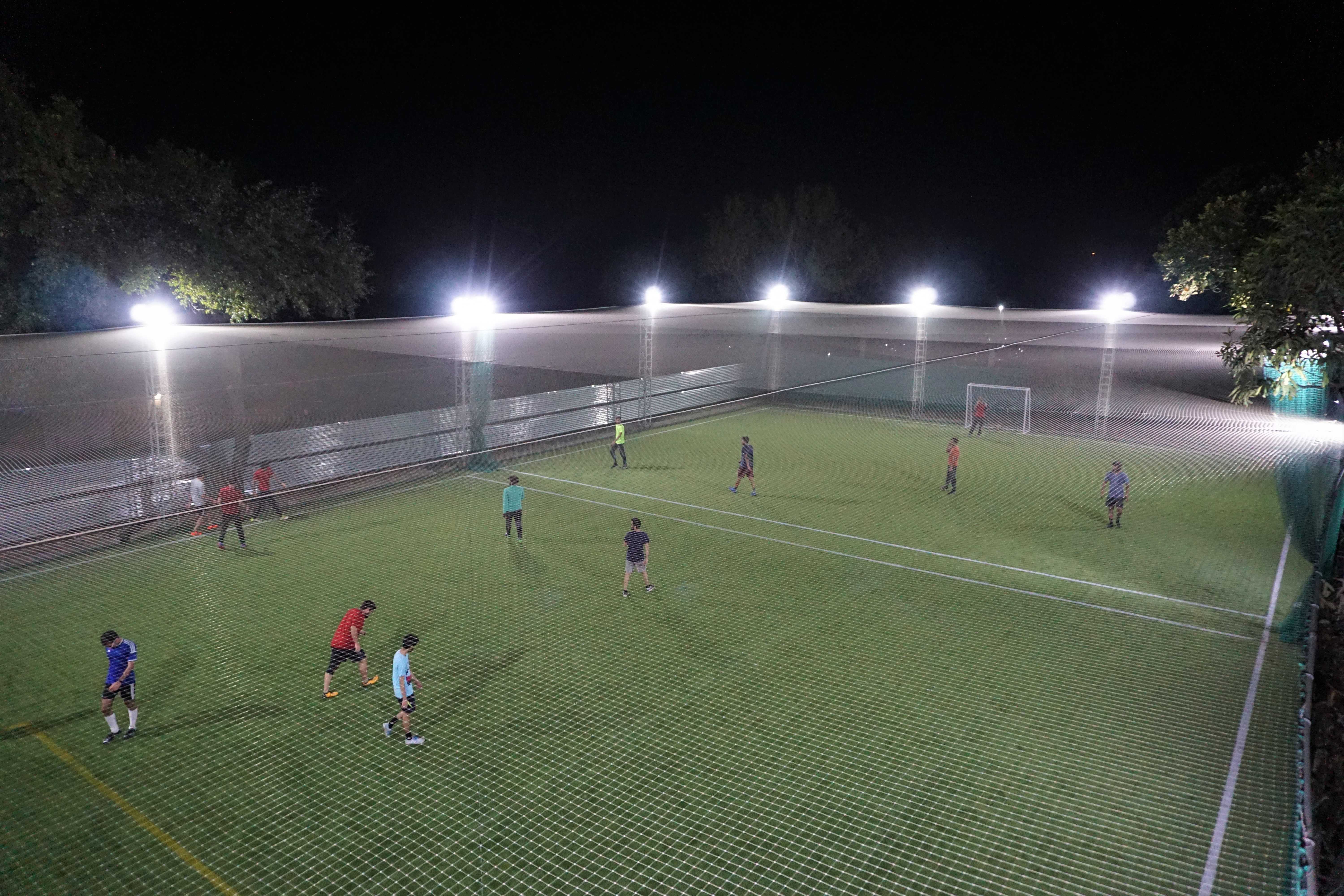 Turf photo 7