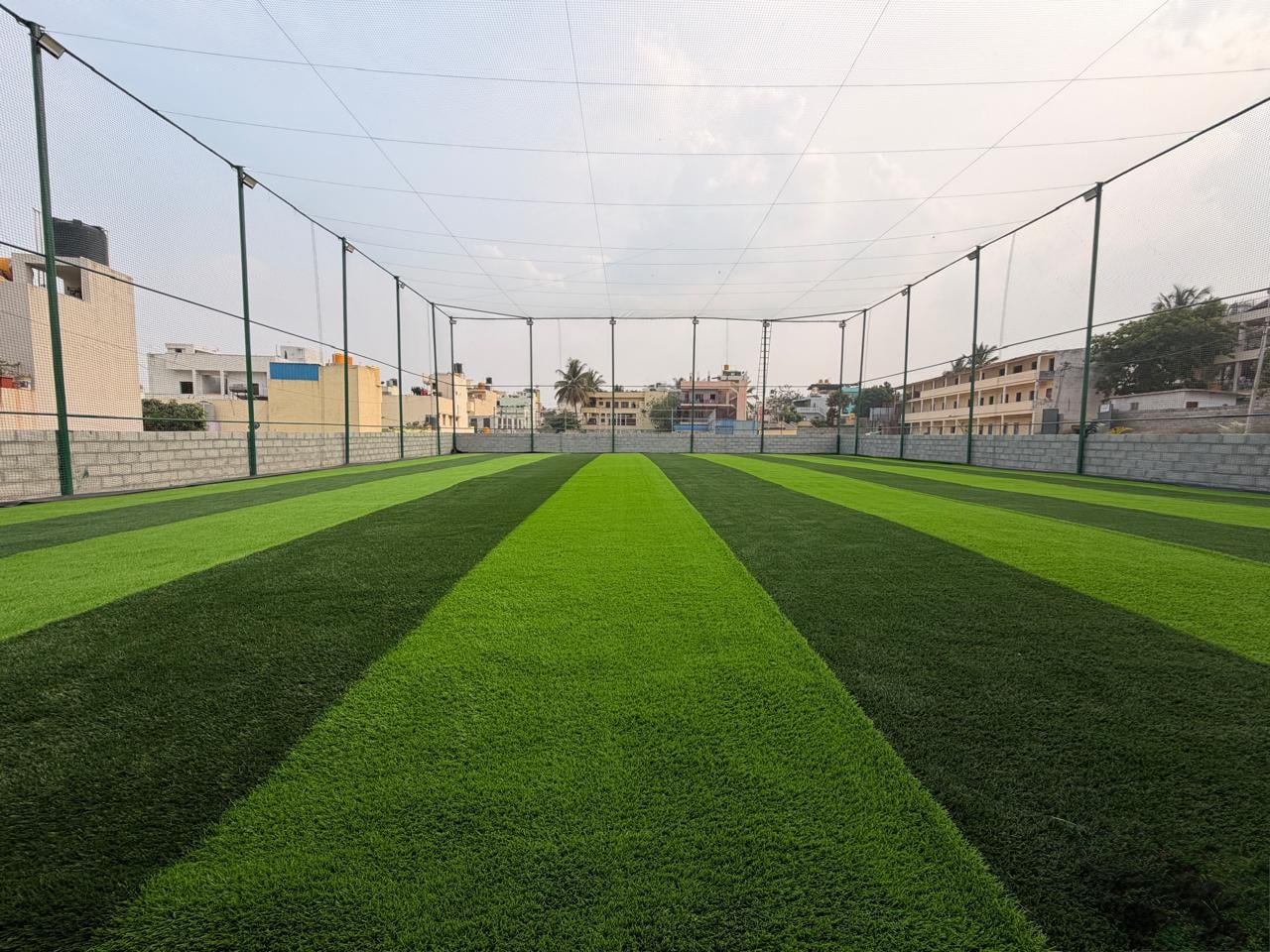 Turf photo 7