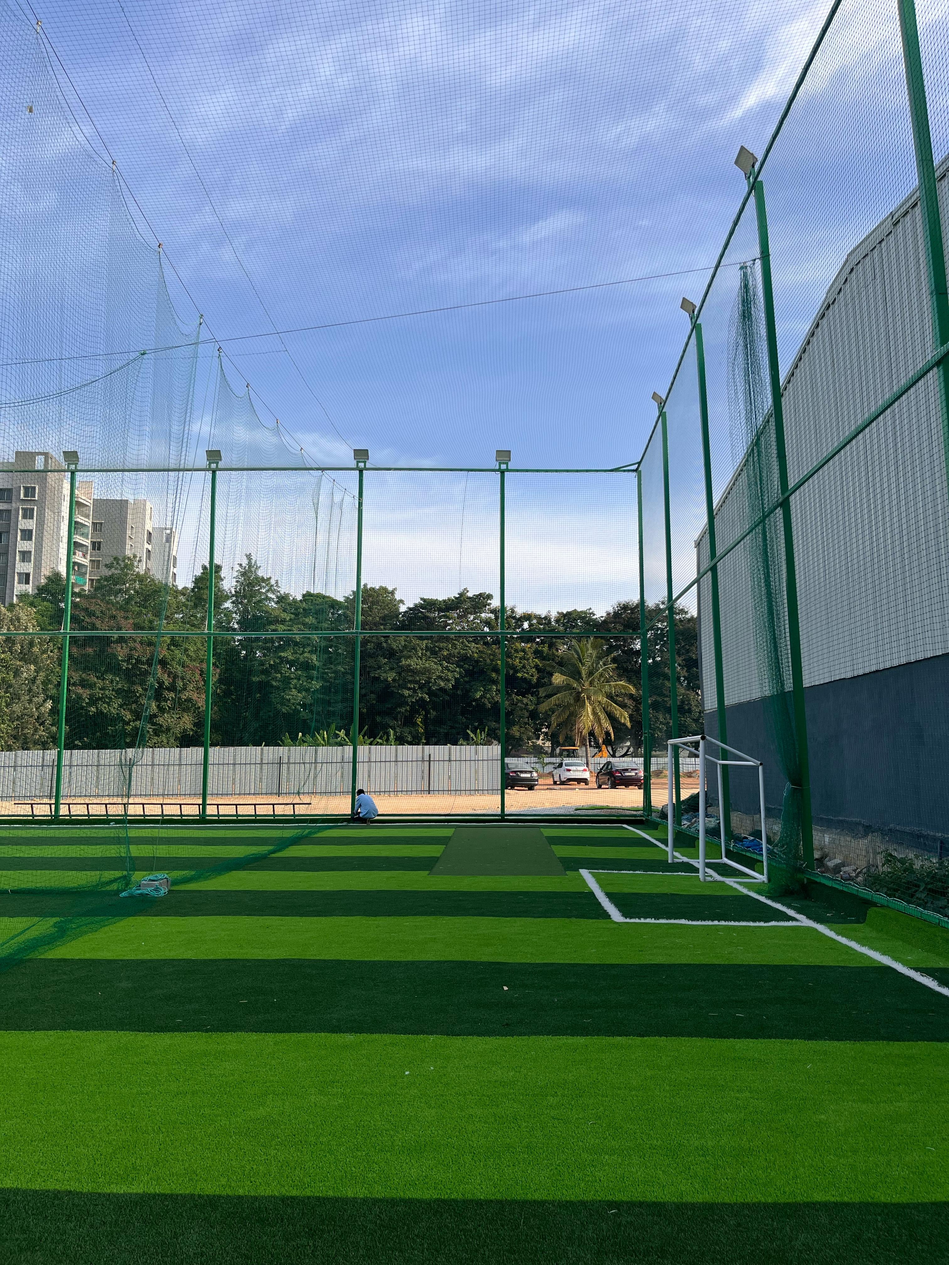 Turf photo 6