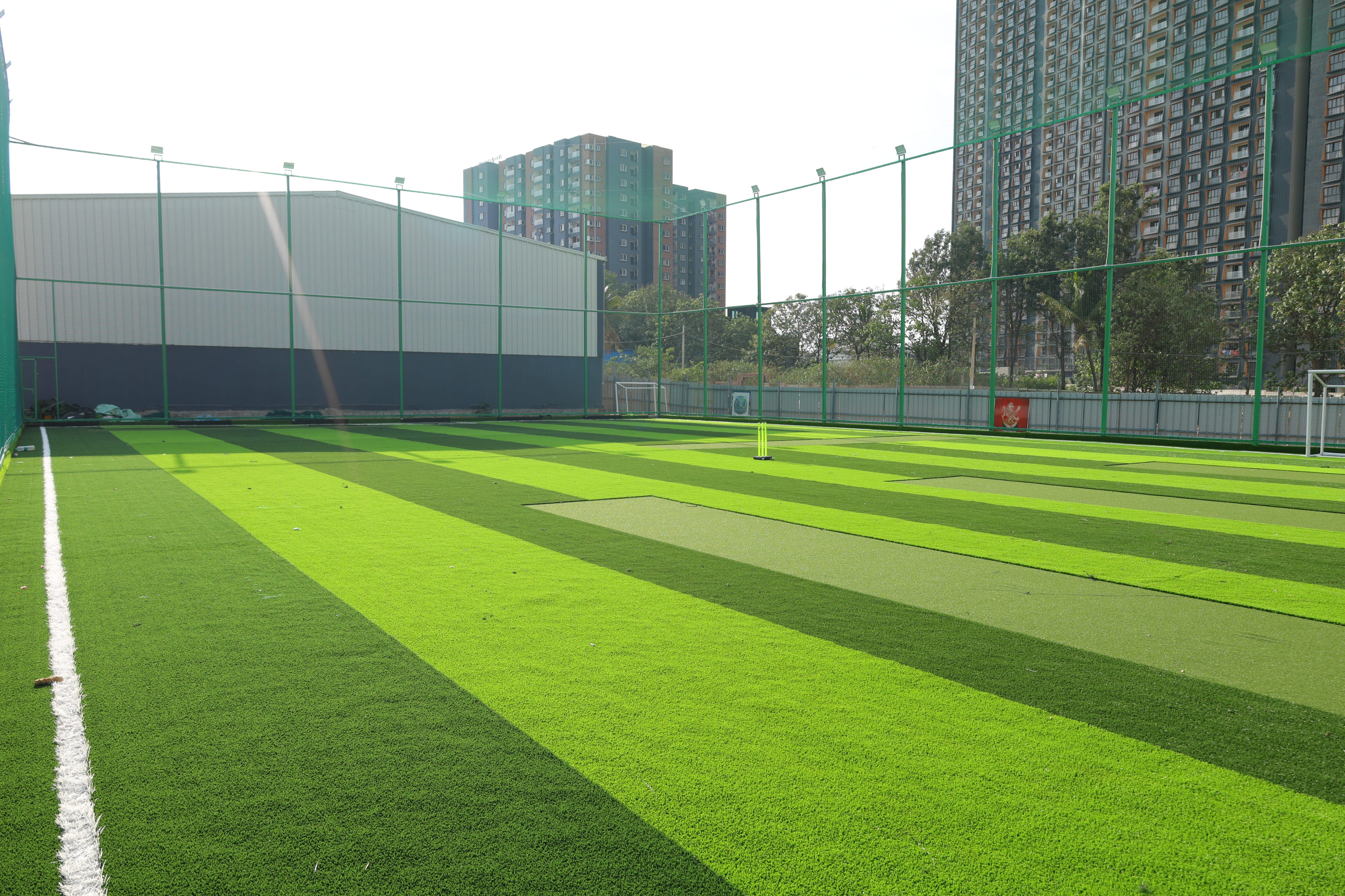 Turf photo 10